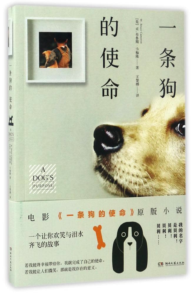 【开云电竞app下载安装】沈南鹏与程维谈AI创新,他们都说了什么?(图1) 开云电竞官网