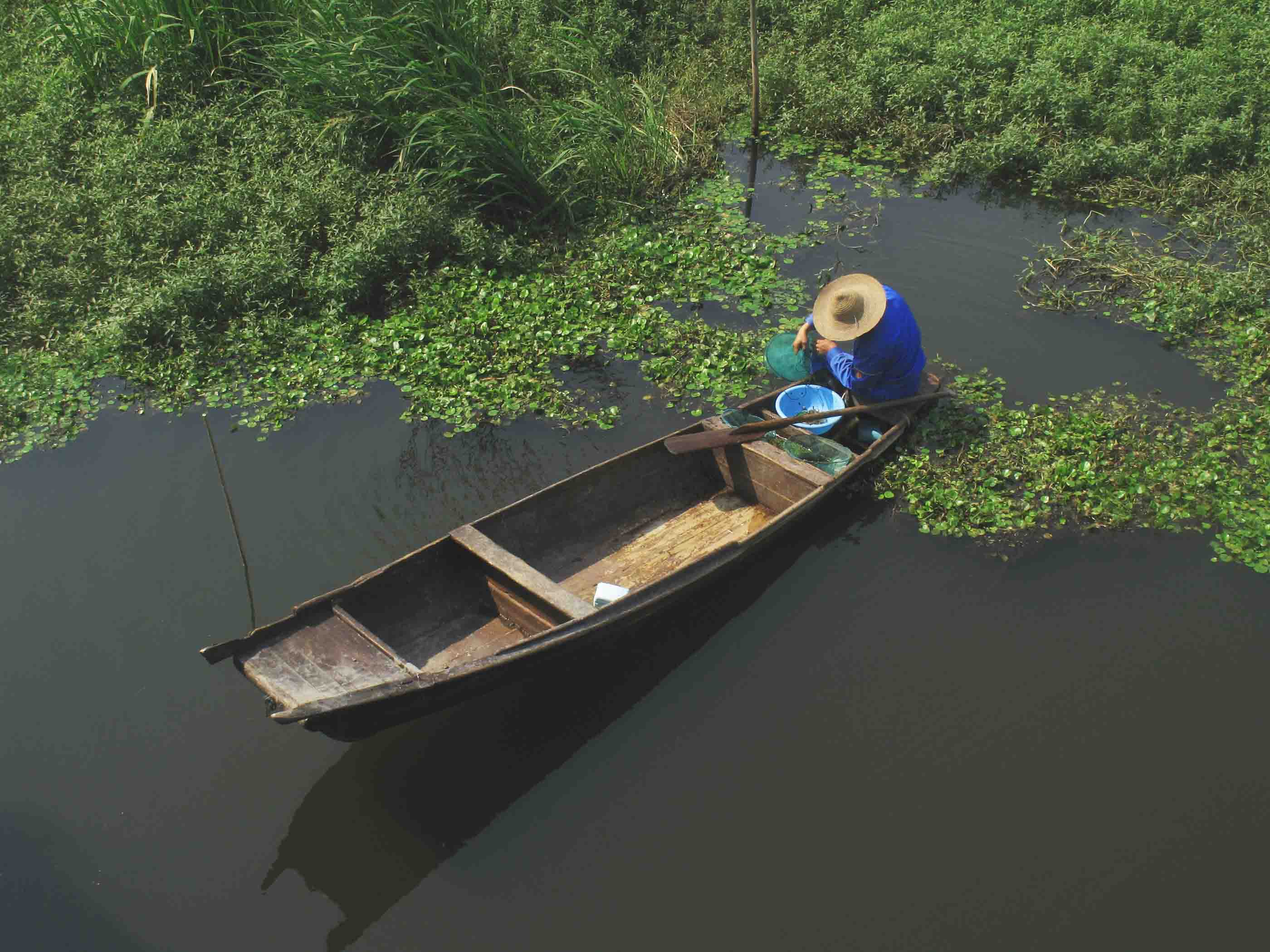 开云电竞app下载安装