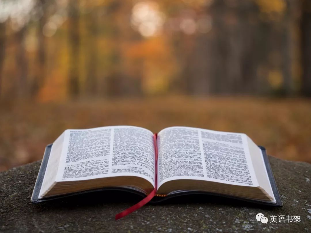 开云电竞app下载安装