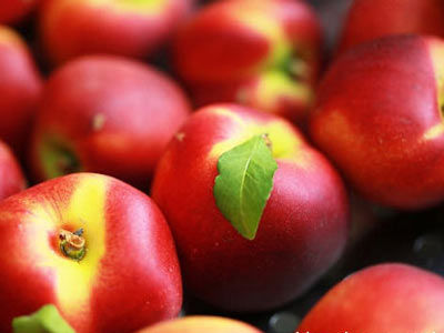 早讯丨格力回应造车传闻,阿里云被责令整改“开云电竞”(图4) 开云电竞官网