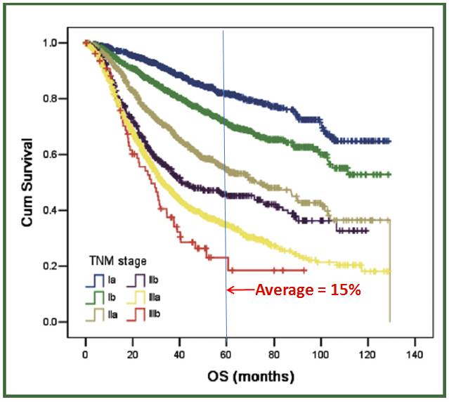 “开云电竞官网”多特2将因伤无缘战拜仁 胡梅尔斯:尽量踢保守些(图3) 开云电竞