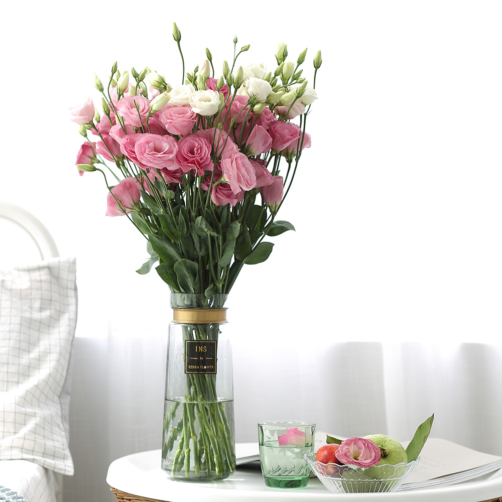 开云电竞app下载安装