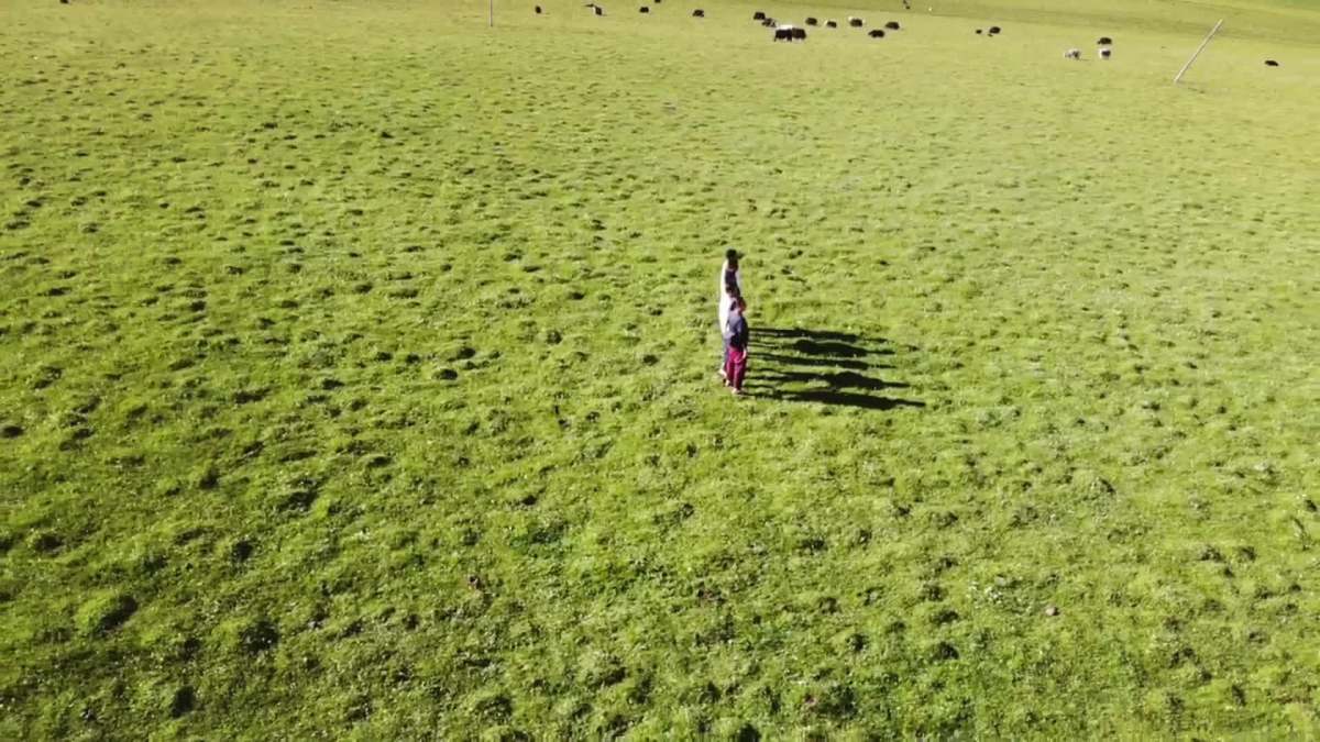 开云电竞app下载安装