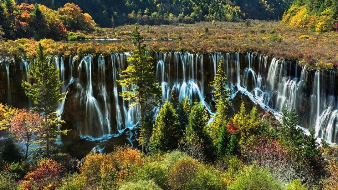 开云电竞app下载安装