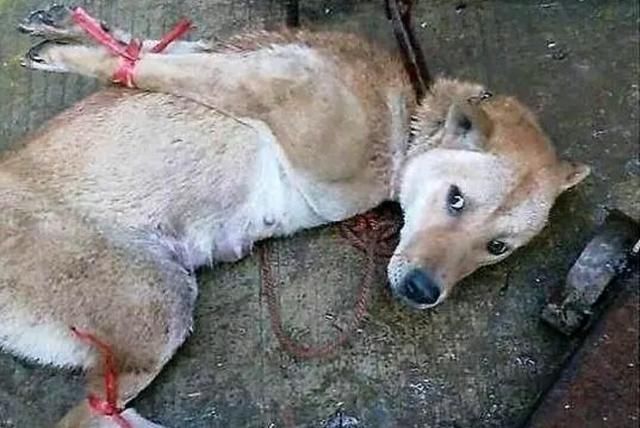 【开云电竞官网】
不行沽名学霸王 写在拜仁晋级17-18赛季欧冠四强赛后(图2) 开云电竞官网