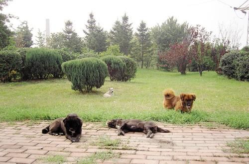 开云电竞app下载安装:周日德甲:弗赖堡主场期待赢球取胜(图1) 开云电竞官网