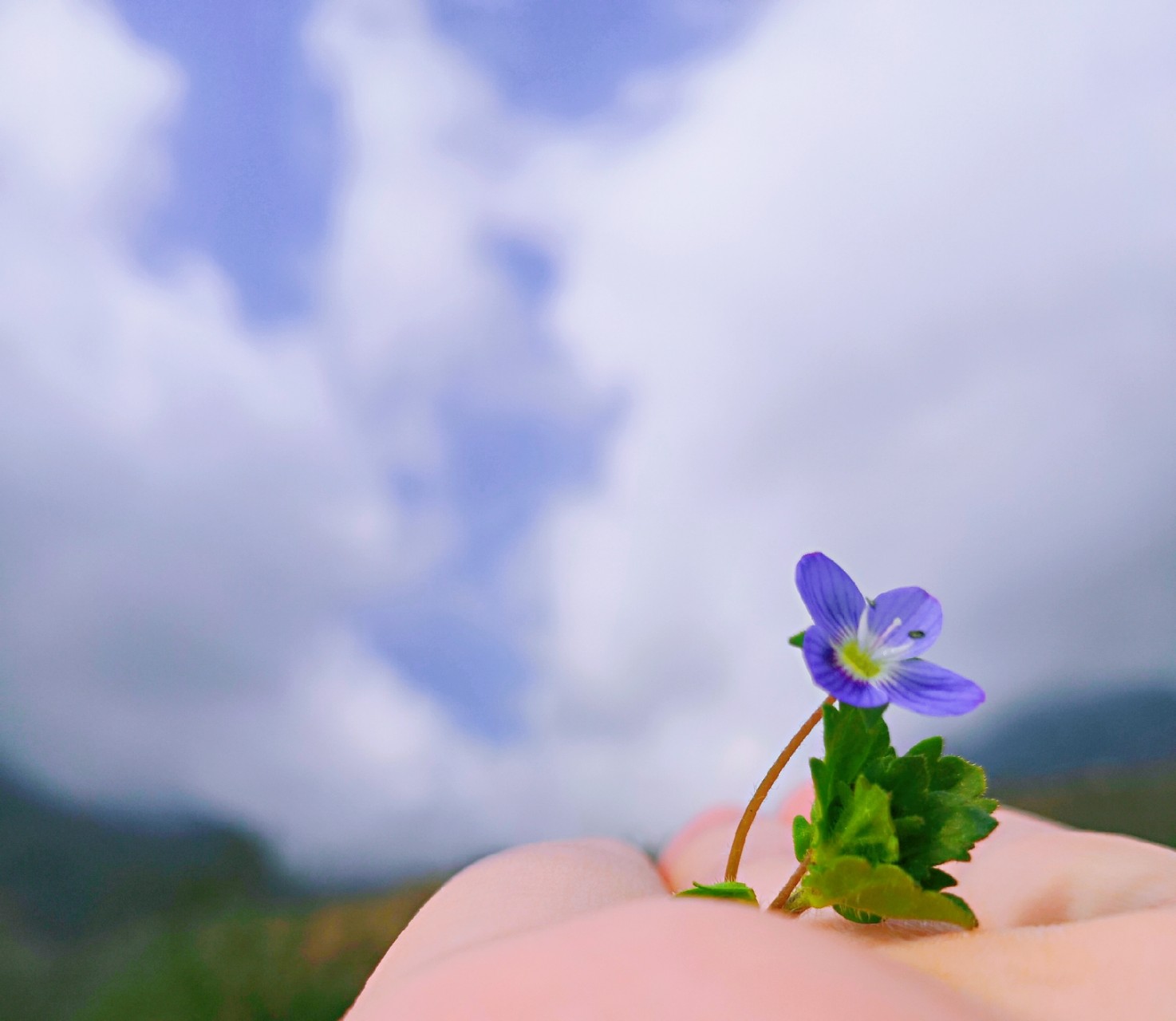 开云电竞官网:戴维·阿拉巴左膝关节囊扭伤(图1) 开云电竞app下载安装