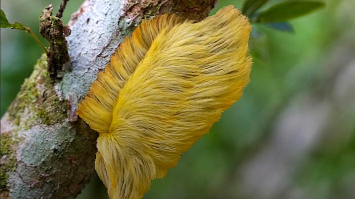 开云电竞官网_颠覆性MEMS传感器延长耳机电池寿命有望改变传感器市场格局(图3) 开云电竞