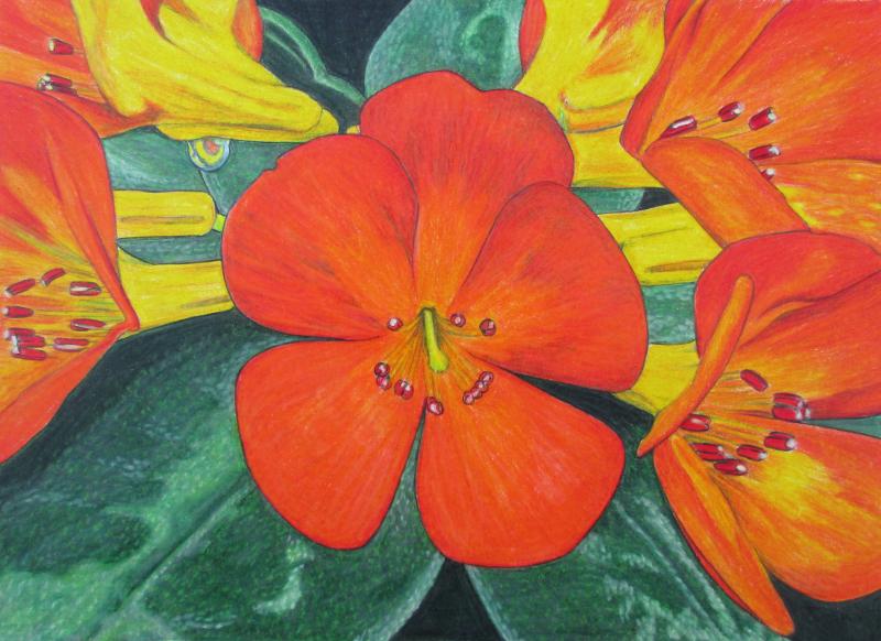 Ray给换脸图像“照X光”‘开云电竞app下载安装’(图1) 开云电竞app下载安装