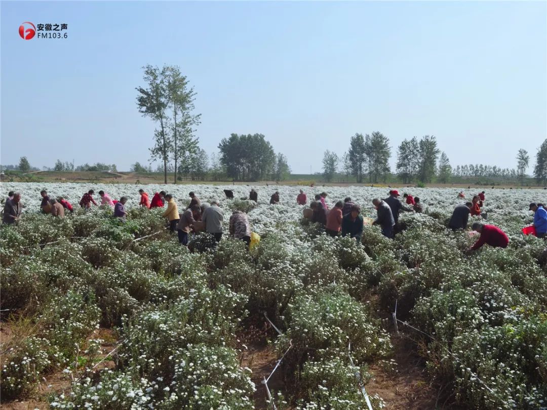 开云电竞官网_30日德甲推荐：杜塞尔多夫VS美因茨