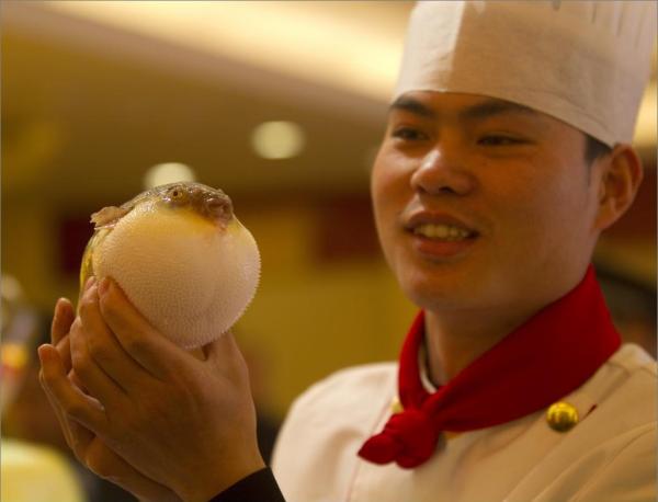 开云电竞app下载安装