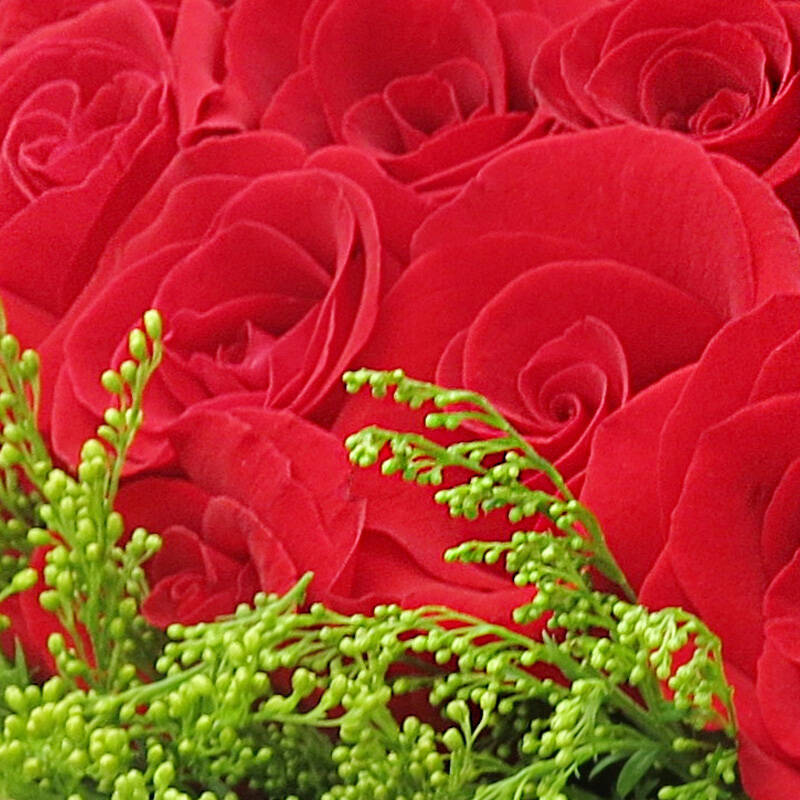 开云电竞app下载安装