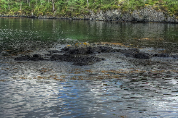 开云电竞app下载安装