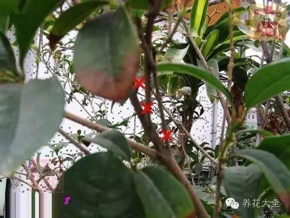 开云电竞app下载安装